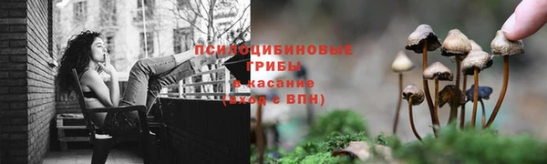 прущие крисы Магас