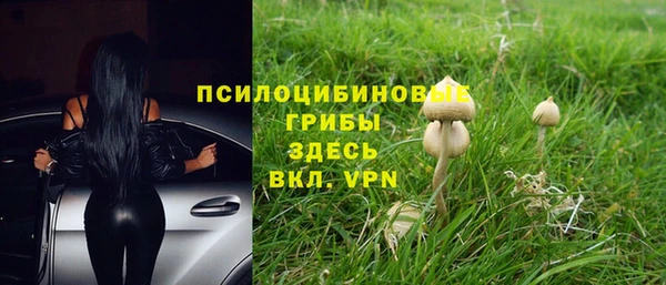 прущие крисы Магас