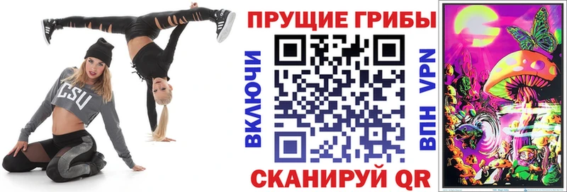 Псилоцибиновые грибы мицелий  Пугачёв 